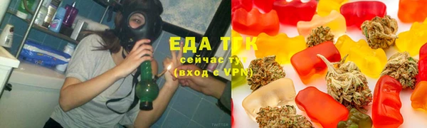 гидра Новозыбков
