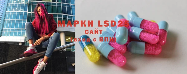 индика Новокубанск