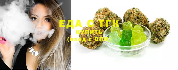 индика Новокубанск