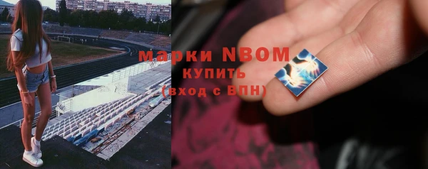 индика Новокубанск