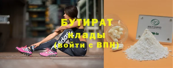 гидра Новозыбков