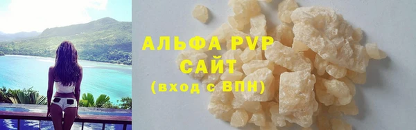 гидра Новозыбков