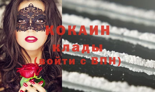 гидра Новозыбков