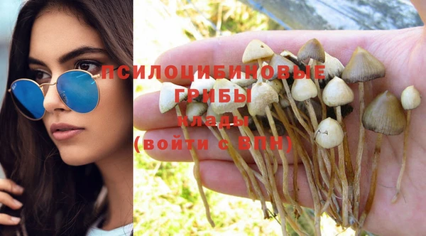 мяу мяу кристалл Новодвинск