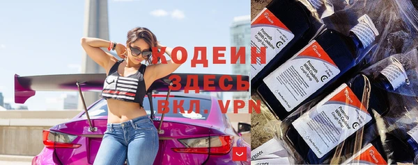 гидра Новозыбков