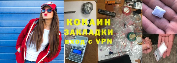 индика Новокубанск