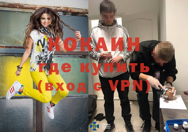 гидра Новозыбков