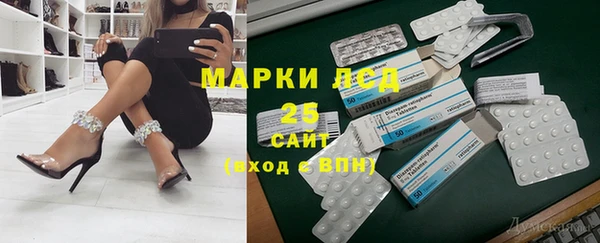 гидра Новозыбков