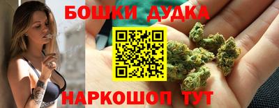 индика Абинск