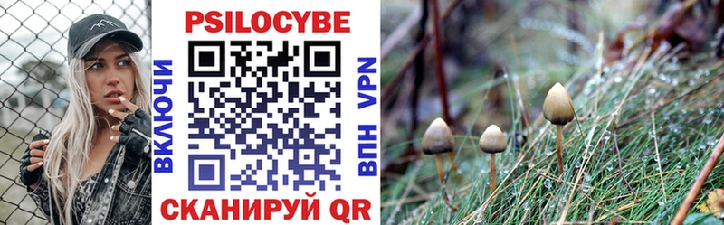 купить   Фролово  MEGA ССЫЛКА  Галлюциногенные грибы прущие грибы 
