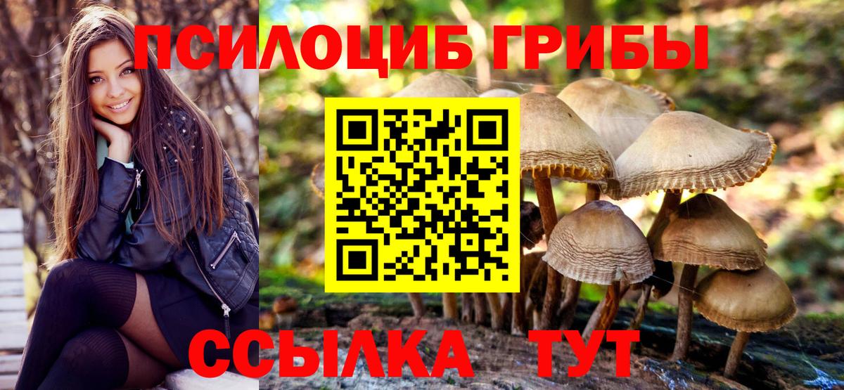 Псилоцибиновые грибы мицелий  Вход с VPN  Фролово 